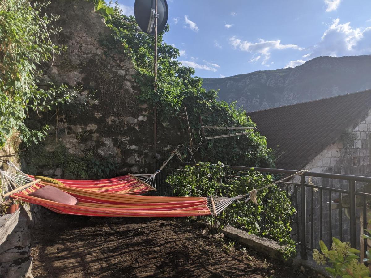 Best View! Rooftop With Garden - Old Town Nr404 Kotor Kültér fotó